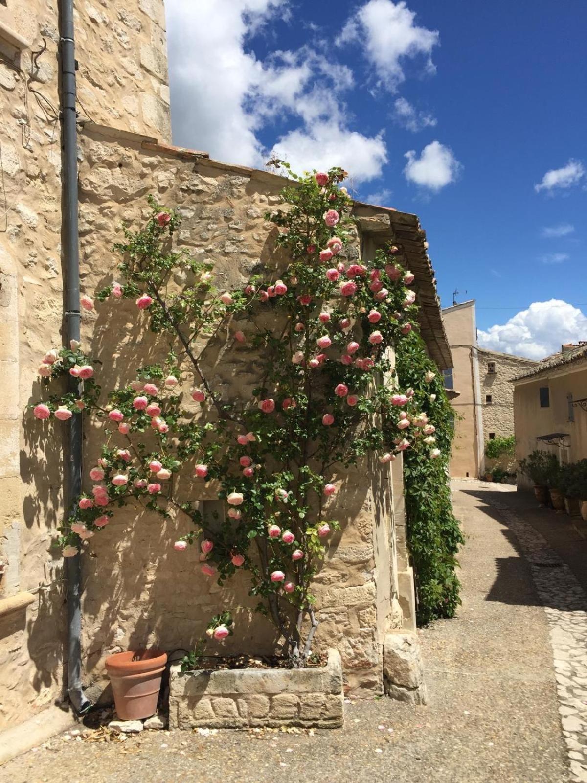 Lovely Views In Secret Provence Joucas Kültér fotó